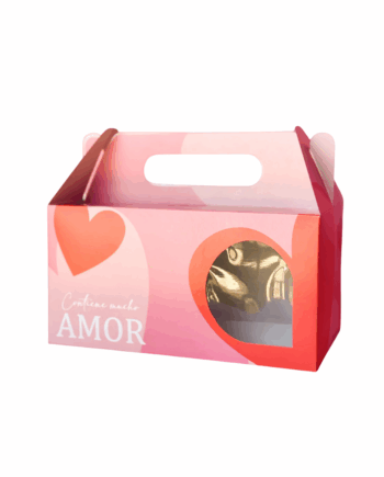 Valija Amor 25x14x13 con visor