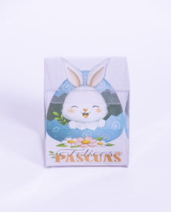 Cubo de acetato conejo de pascua 9x9x9cm