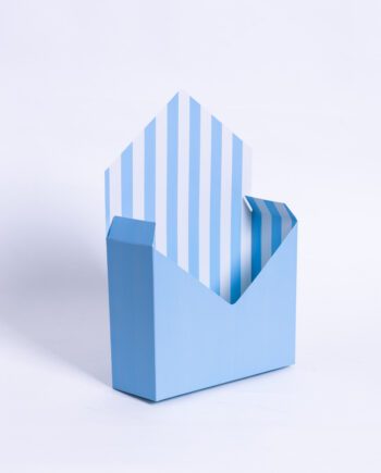 Caja sobre cartulina impresa